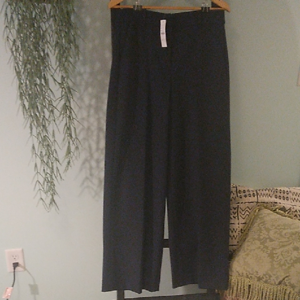 J. Crew Carreman Pants